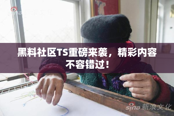 黑料社区TS重磅来袭，精彩内容不容错过！