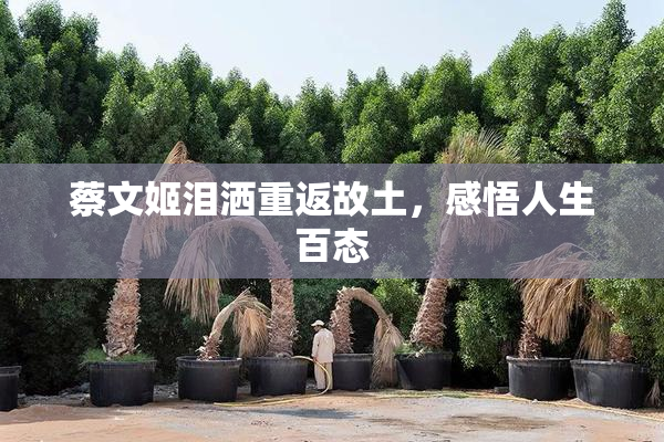 蔡文姬泪洒重返故土，感悟人生百态