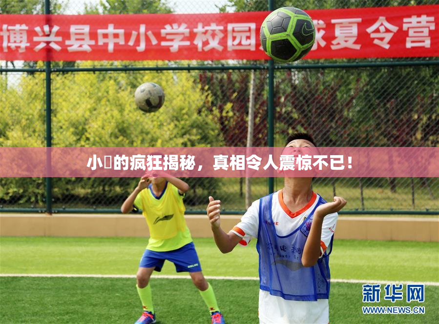 小泬的疯狂揭秘，真相令人震惊不已！