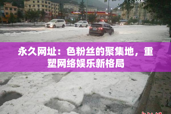 永久网址：色粉丝的聚集地，重塑网络娱乐新格局