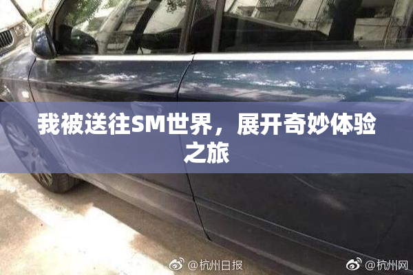 我被送往SM世界，展开奇妙体验之旅