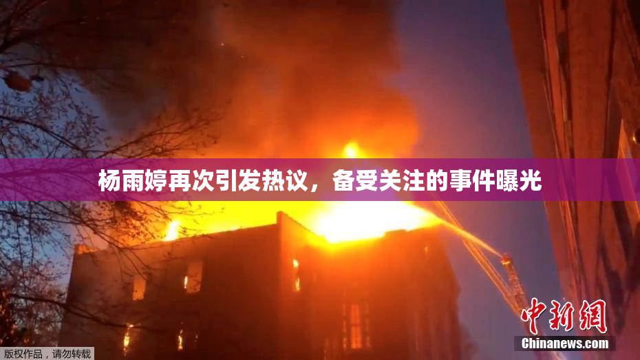 杨雨婷再次引发热议，备受关注的事件曝光