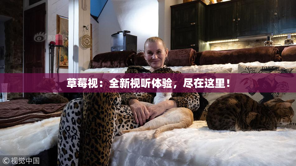 草莓视：全新视听体验，尽在这里！