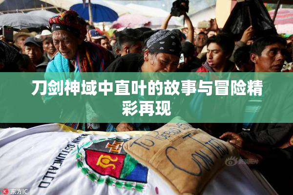 刀剑神域中直叶的故事与冒险精彩再现