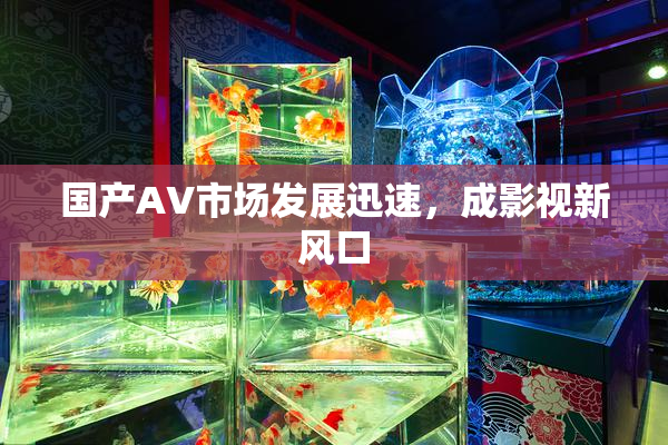 国产AV市场发展迅速，成影视新风口