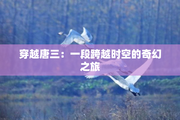 穿越唐三：一段跨越时空的奇幻之旅