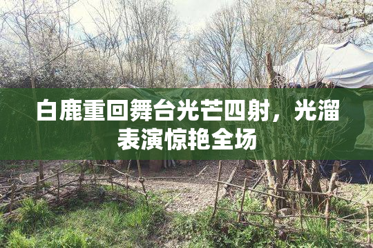 白鹿重回舞台光芒四射，光溜表演惊艳全场