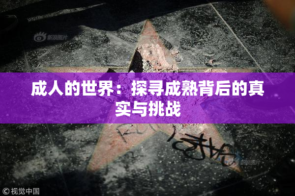 成人的世界：探寻成熟背后的真实与挑战