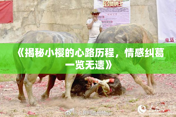 《揭秘小樱的心路历程，情感纠葛一览无遗》