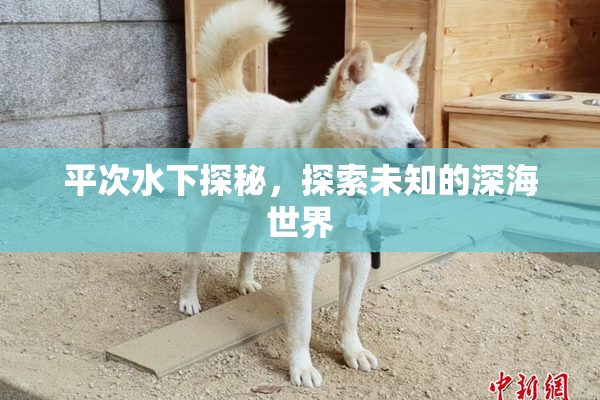 平次水下探秘，探索未知的深海世界