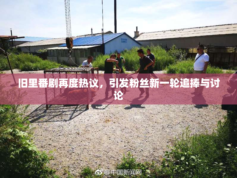 旧里番剧再度热议，引发粉丝新一轮追捧与讨论