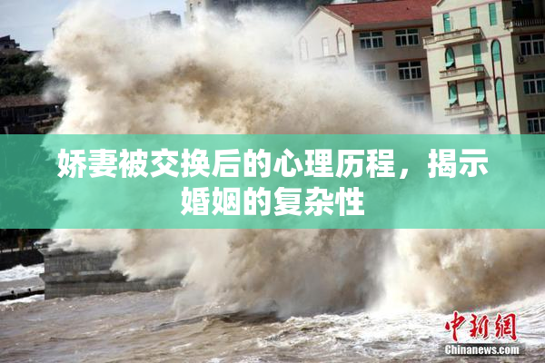 娇妻被交换后的心理历程，揭示婚姻的复杂性