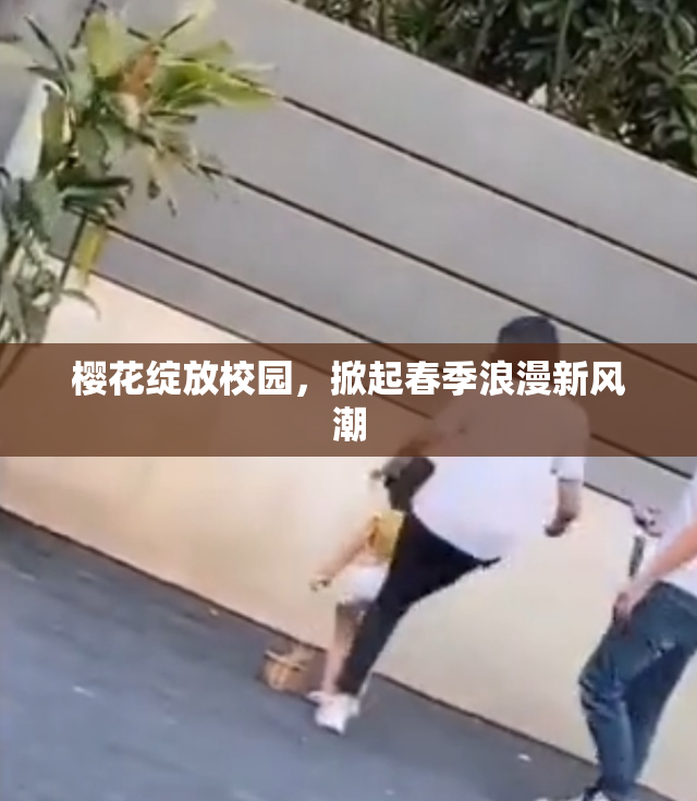 樱花绽放校园，掀起春季浪漫新风潮