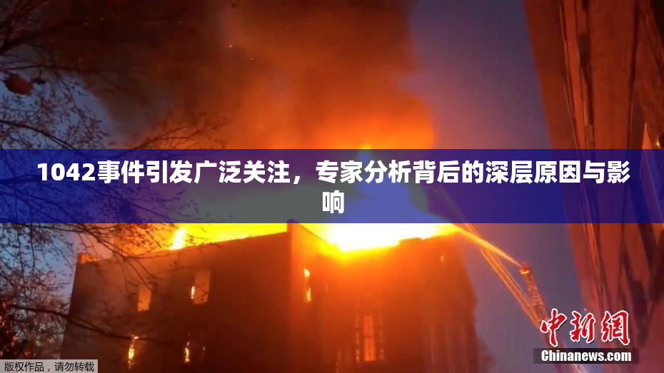 1042事件引发广泛关注，专家分析背后的深层原因与影响