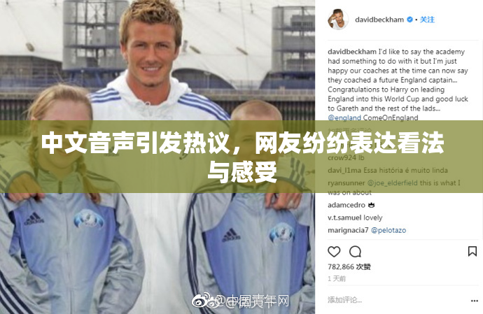 中文音声引发热议，网友纷纷表达看法与感受