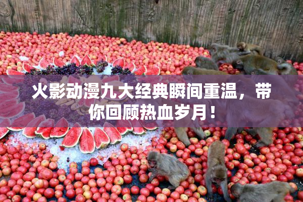 火影动漫九大经典瞬间重温，带你回顾热血岁月！