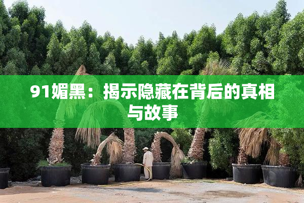 91媚黑：揭示隐藏在背后的真相与故事