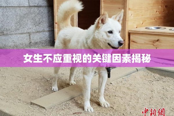 女生不应重视的关键因素揭秘