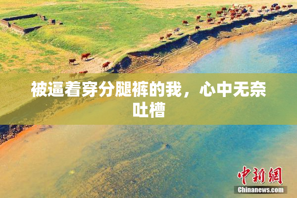 被逼着穿分腿裤的我，心中无奈吐槽