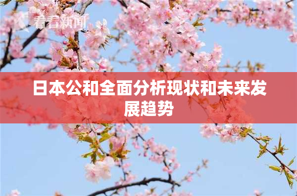 日本公和全面分析现状和未来发展趋势