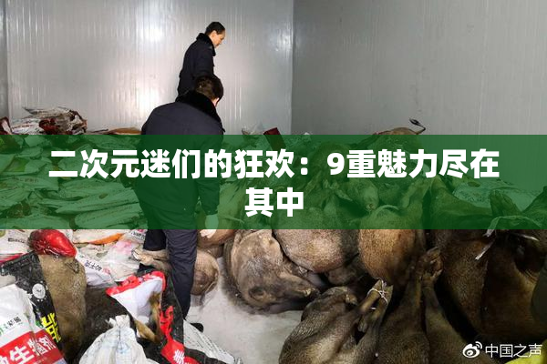 二次元迷们的狂欢：9重魅力尽在其中