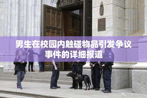 男生在校园内触碰物品引发争议事件的详细报道
