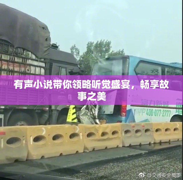 有声小说带你领略听觉盛宴，畅享故事之美