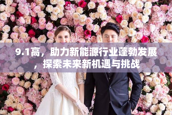 9.1高，助力新能源行业蓬勃发展，探索未来新机遇与挑战