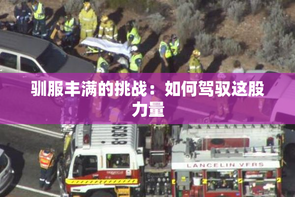 驯服丰满的挑战：如何驾驭这股力量