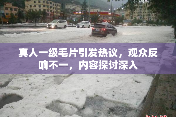 真人一级毛片引发热议，观众反响不一，内容探讨深入