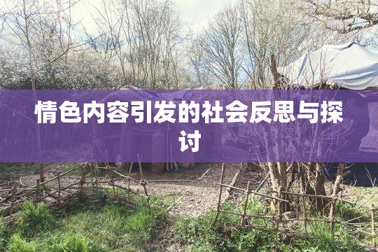 情色内容引发的社会反思与探讨
