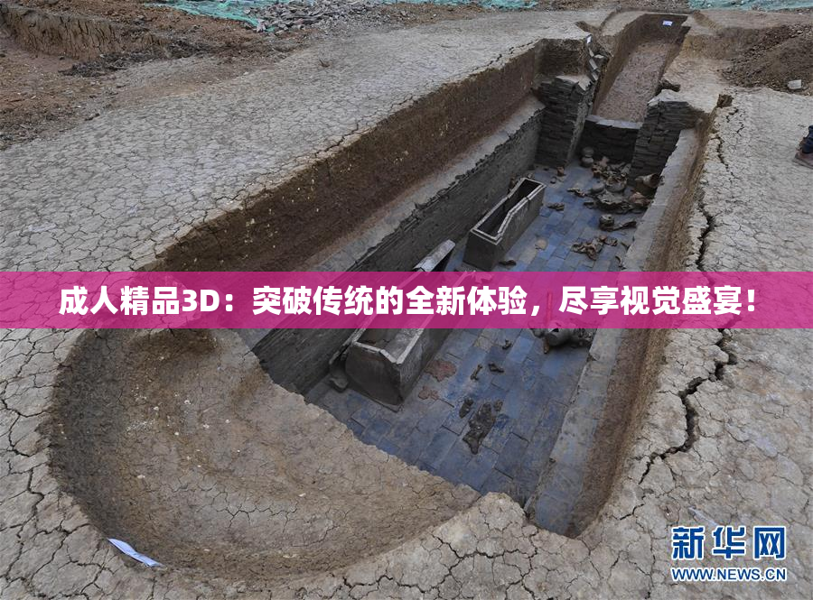 成人精品3D：突破传统的全新体验，尽享视觉盛宴！