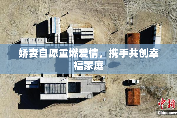 娇妻自愿重燃爱情，携手共创幸福家庭