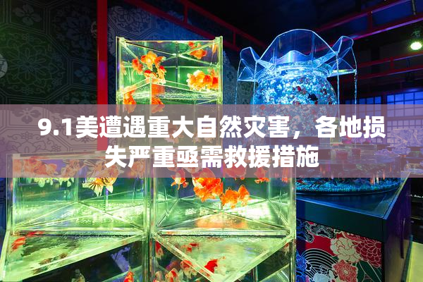 9.1美遭遇重大自然灾害，各地损失严重亟需救援措施
