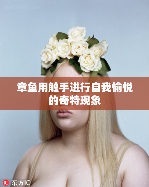 章鱼用触手进行自我愉悦的奇特现象