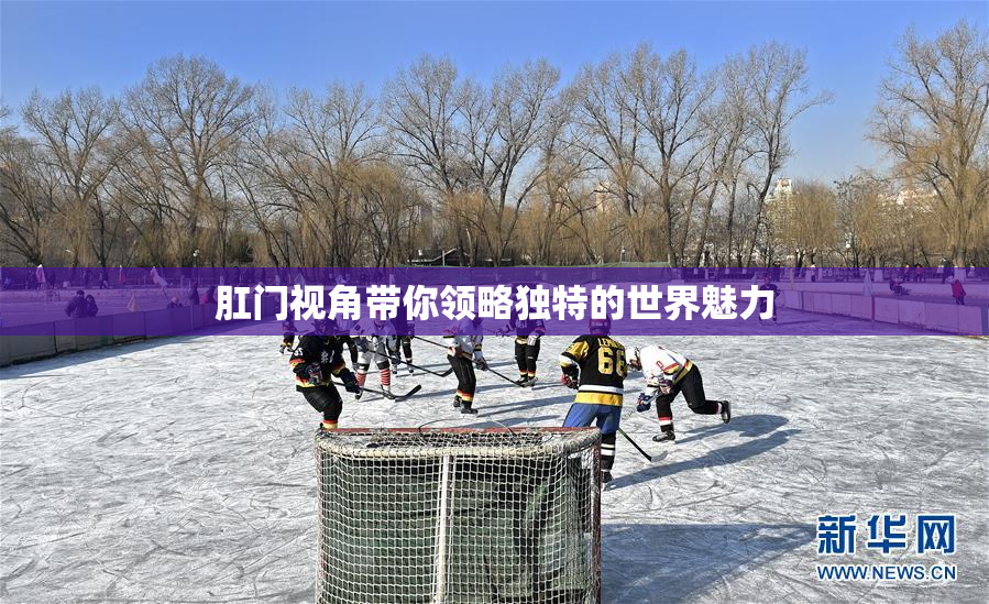肛门视角带你领略独特的世界魅力