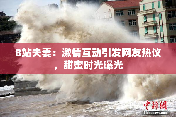 B站夫妻：激情互动引发网友热议，甜蜜时光曝光