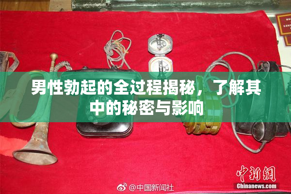 男性勃起的全过程揭秘，了解其中的秘密与影响