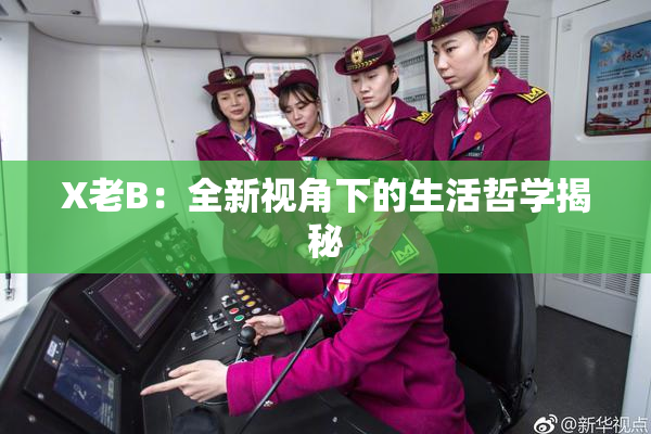 X老B：全新视角下的生活哲学揭秘