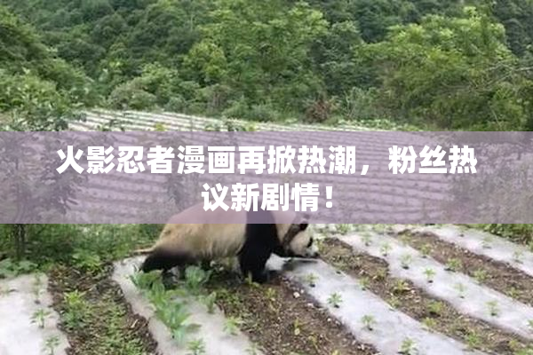 火影忍者漫画再掀热潮，粉丝热议新剧情！