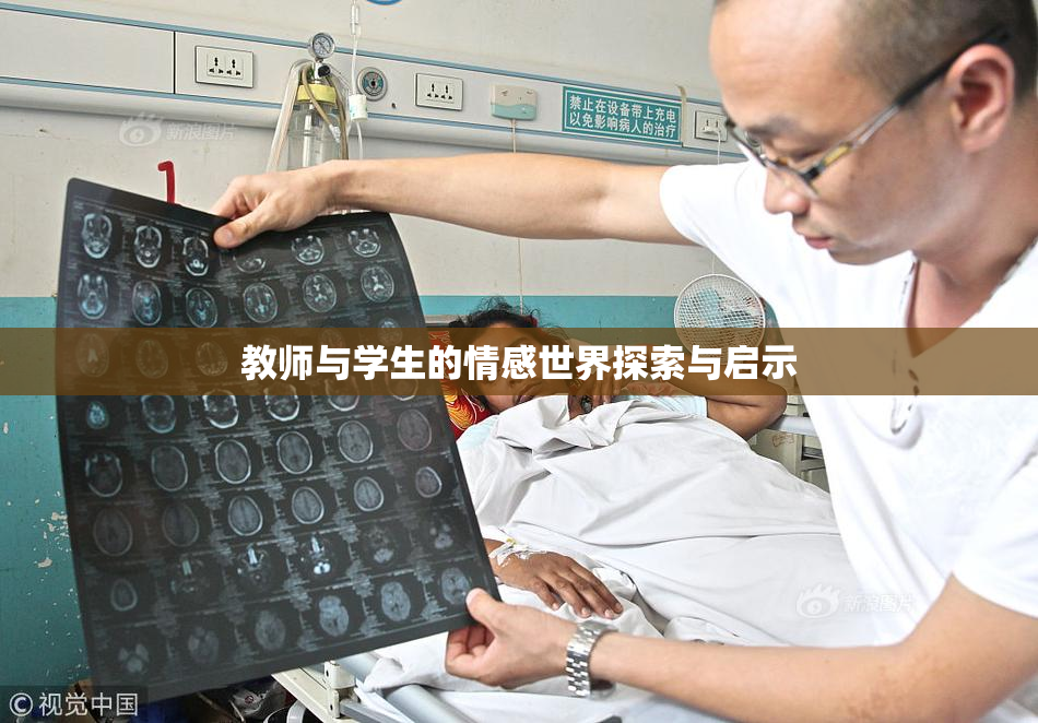教师与学生的情感世界探索与启示
