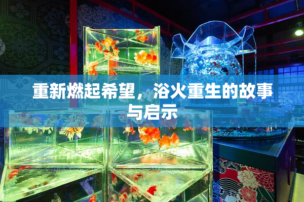 重新燃起希望，浴火重生的故事与启示