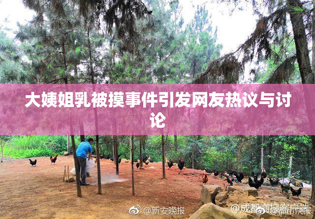 大姨姐乳被摸事件引发网友热议与讨论