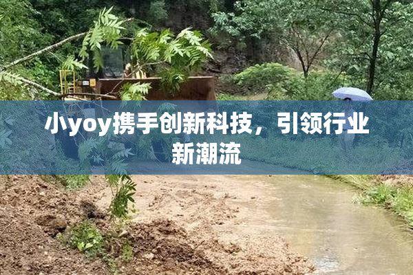 小yoy携手创新科技，引领行业新潮流