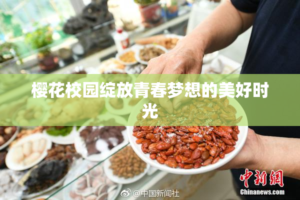 樱花校园绽放青春梦想的美好时光