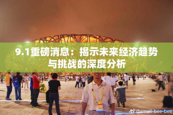 9.1重磅消息：揭示未来经济趋势与挑战的深度分析