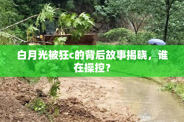 白月光被狂c的背后故事揭晓，谁在操控？