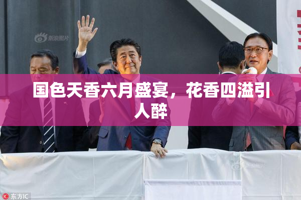 国色天香六月盛宴，花香四溢引人醉