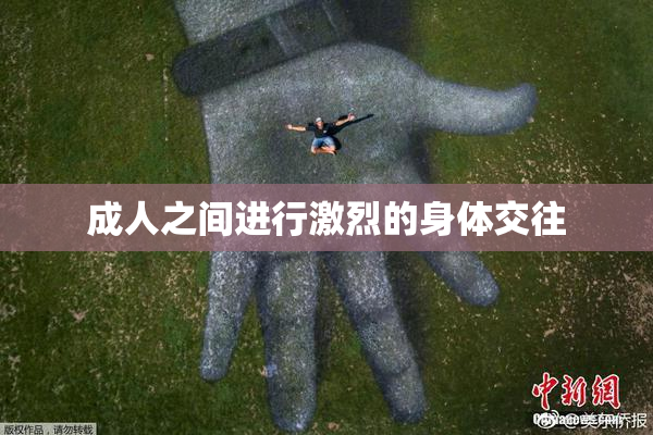 成人之间进行激烈的身体交往