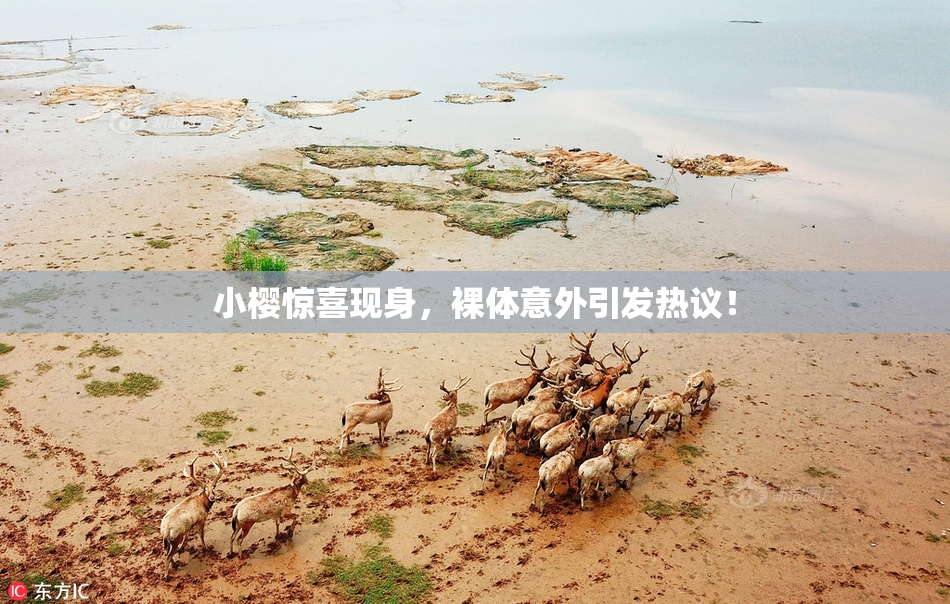 小樱惊喜现身，裸体意外引发热议！
